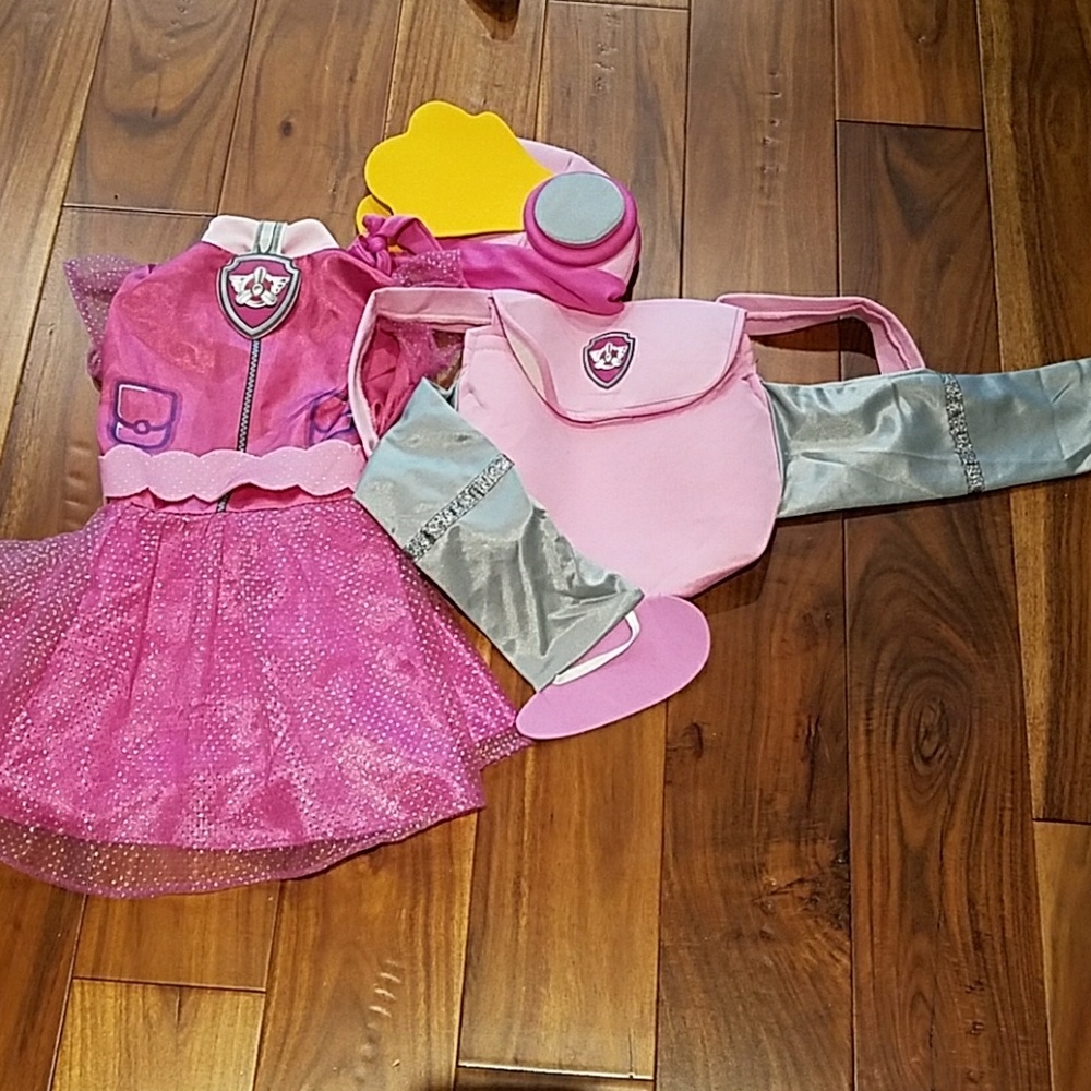 Paw patrol 2T-3T Sky costume